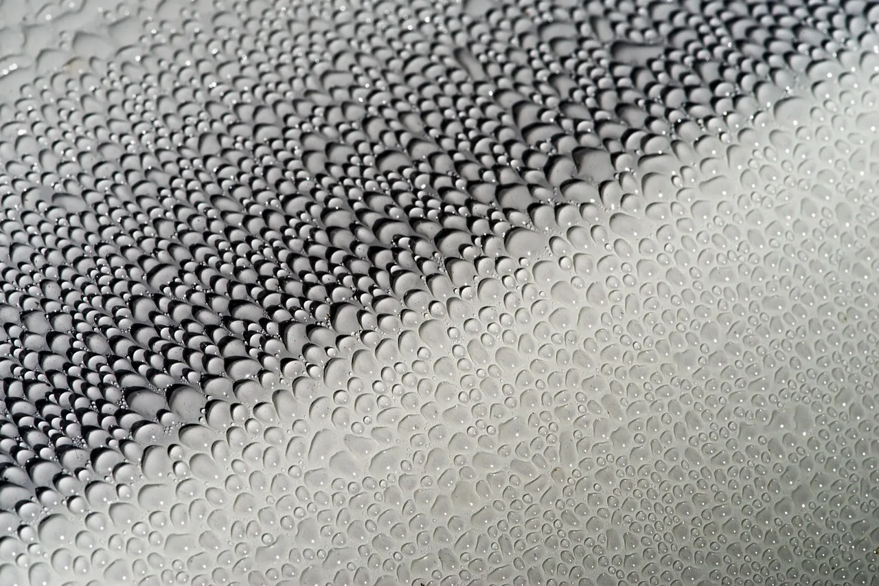 water, droplets, effervescence, nature, car body, wax, sealing, gloss, glaze, polished. Mobile Detailing Wash-Water: Phoenix and Las Vegas