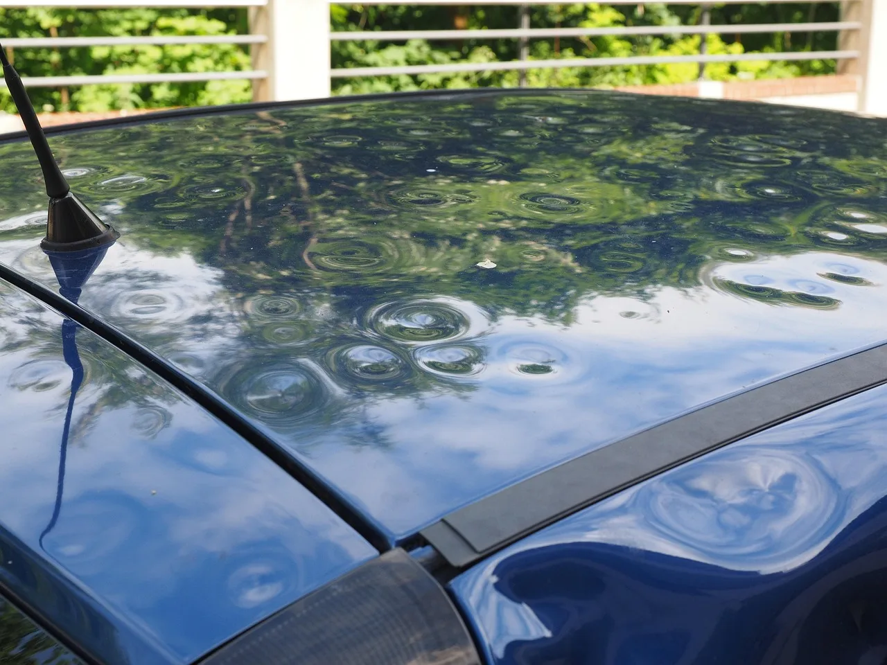 hail damage, automobile, car roof, paint damage, bumps, dents, hailbones, hail dents, case of insurance, insurance, hail damage, hail damage, hail damage, hail damage, hail damage, insurance. Mobile detailing in Charlotte: HOA and apartment access