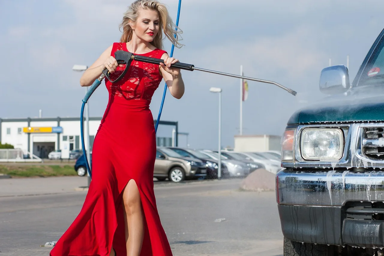 automobile, to wash, clean, to clean. Mobile detailing expansion: signal versus noise