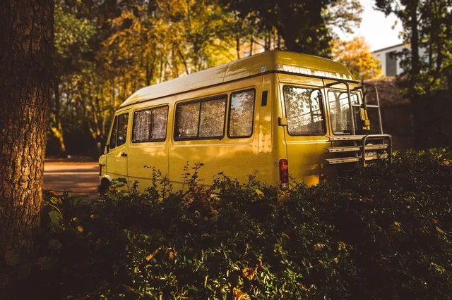 yellow, van, car, car wallpapers, vehicle, green, plants, nature, trees. Mobile detailing software: the six jobs it must cover